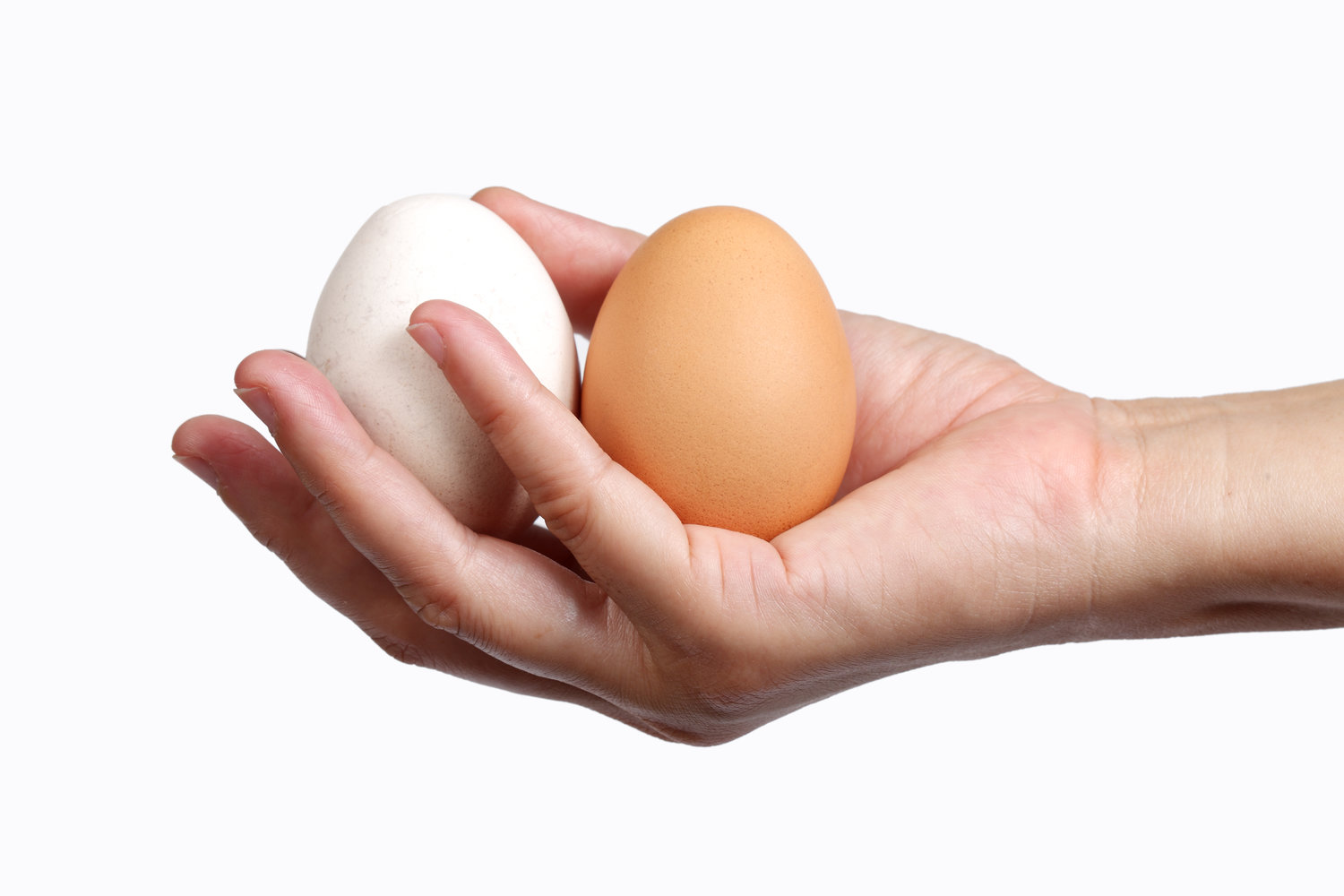 A hand holding two eggs of different colours